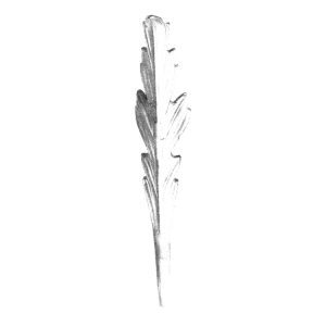 664/7  3mm MALLEABLE CAST LEAF 50 x 285mm