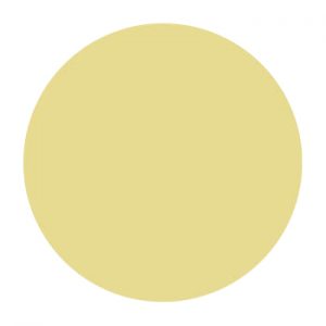AP262516 2" x 5/16" IVORY VINYL RAIL
