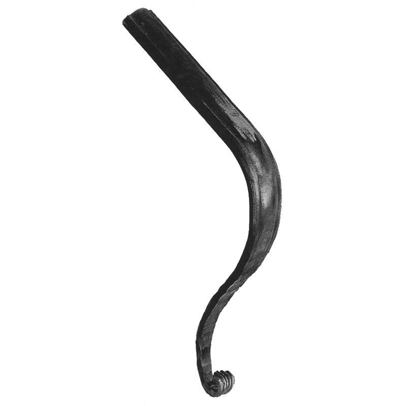 812/10  LONG LAMB'S TONGUE